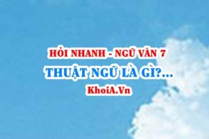 Thuật ngữ là gì? Đặc điểm, chức năng của thuật ngữ là gì? Ngữ Văn lớp 7